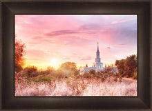 Load image into Gallery viewer, Sacramento Fire Of The Covenant
