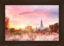 Load image into Gallery viewer, Sacramento Fire Of The Covenant

