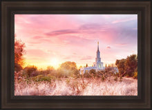 Load image into Gallery viewer, Sacramento Fire Of The Covenant
