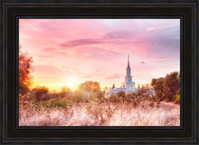 Load image into Gallery viewer, Sacramento Fire Of The Covenant
