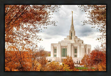 Load image into Gallery viewer, Ogden Autumn Leaves Gallery Wrap
