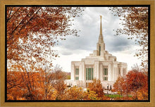 Load image into Gallery viewer, Ogden Autumn Leaves Gallery Wrap
