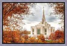 Load image into Gallery viewer, Ogden Autumn Leaves Gallery Wrap
