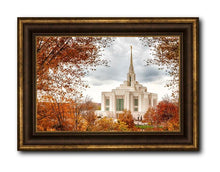 Load image into Gallery viewer, Ogden Autumn Leaves
