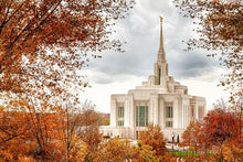 Load image into Gallery viewer, Ogden Autumn Leaves
