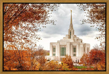 Load image into Gallery viewer, Ogden Autumn Leaves Gallery Wrap
