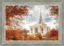 Load image into Gallery viewer, Ogden Autumn Leaves
