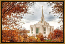 Load image into Gallery viewer, Ogden Autumn Leaves Gallery Wrap
