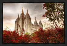 Load image into Gallery viewer, Salt Lake Autumn Trees Gallery Wrap
