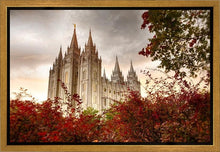 Load image into Gallery viewer, Salt Lake Autumn Trees Gallery Wrap
