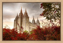 Load image into Gallery viewer, Salt Lake Autumn Trees Gallery Wrap
