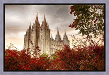 Load image into Gallery viewer, Salt Lake Autumn Trees Gallery Wrap
