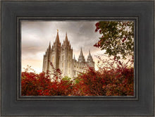 Load image into Gallery viewer, Salt Lake Autumn Trees
