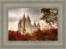 Load image into Gallery viewer, Salt Lake Autumn Trees
