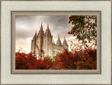 Load image into Gallery viewer, Salt Lake Autumn Trees

