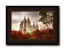 Load image into Gallery viewer, Salt Lake Autumn Trees
