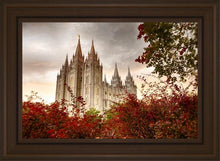Load image into Gallery viewer, Salt Lake Autumn Trees
