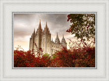 Load image into Gallery viewer, Salt Lake Autumn Trees
