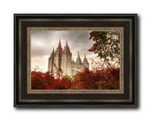 Load image into Gallery viewer, Salt Lake Autumn Trees
