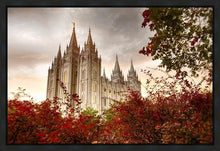 Load image into Gallery viewer, Salt Lake Autumn Trees Gallery Wrap
