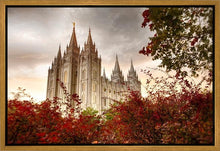 Load image into Gallery viewer, Salt Lake Autumn Trees Gallery Wrap
