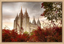 Load image into Gallery viewer, Salt Lake Autumn Trees Gallery Wrap
