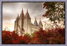 Load image into Gallery viewer, Salt Lake Autumn Trees Gallery Wrap
