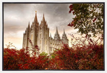 Load image into Gallery viewer, Salt Lake Autumn Trees Gallery Wrap
