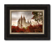 Load image into Gallery viewer, Salt Lake Autumn Trees
