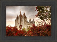 Load image into Gallery viewer, Salt Lake Autumn Trees
