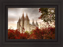 Load image into Gallery viewer, Salt Lake Autumn Trees
