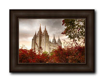 Load image into Gallery viewer, Salt Lake Autumn Trees
