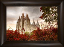 Load image into Gallery viewer, Salt Lake Autumn Trees
