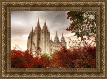Load image into Gallery viewer, Salt Lake Autumn Trees
