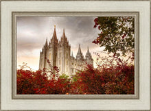 Load image into Gallery viewer, Salt Lake Autumn Trees
