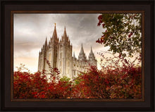 Load image into Gallery viewer, Salt Lake Autumn Trees
