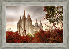 Load image into Gallery viewer, Salt Lake Autumn Trees
