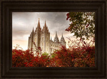 Load image into Gallery viewer, Salt Lake Autumn Trees
