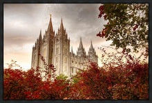 Load image into Gallery viewer, Salt Lake Autumn Trees Gallery Wrap
