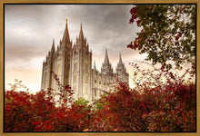 Load image into Gallery viewer, Salt Lake Autumn Trees Gallery Wrap
