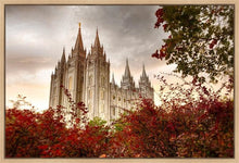 Load image into Gallery viewer, Salt Lake Autumn Trees Gallery Wrap

