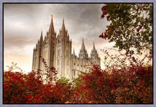 Load image into Gallery viewer, Salt Lake Autumn Trees Gallery Wrap
