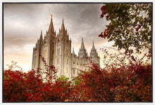Load image into Gallery viewer, Salt Lake Autumn Trees Gallery Wrap
