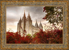 Load image into Gallery viewer, Salt Lake Autumn Trees
