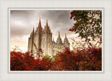 Load image into Gallery viewer, Salt Lake Autumn Trees
