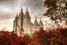 Load image into Gallery viewer, Salt Lake Autumn Trees
