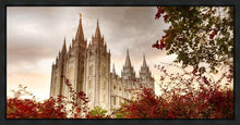 Load image into Gallery viewer, Salt Lake Autumn Trees Gallery Wrap
