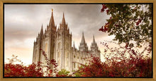 Load image into Gallery viewer, Salt Lake Autumn Trees Gallery Wrap
