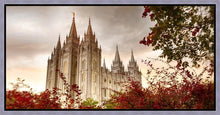 Load image into Gallery viewer, Salt Lake Autumn Trees Gallery Wrap
