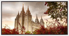 Load image into Gallery viewer, Salt Lake Autumn Trees Gallery Wrap
